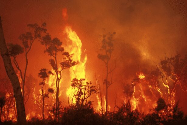 bushfire attack level